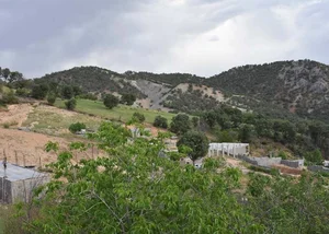 کارخانه فوم ایمانی