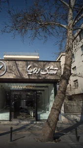 تشک رویا 2