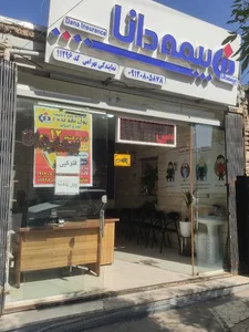بیمه دانا نمایندگی بهرامی 3