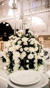 باغ تالار ویو