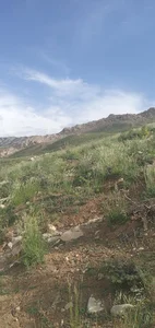 جاده خاکی پشمکان