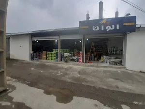 فروشگاه رنگ الوان