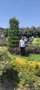 هتل آپارتمان گل نرگس
