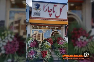 گل تاچارا 3