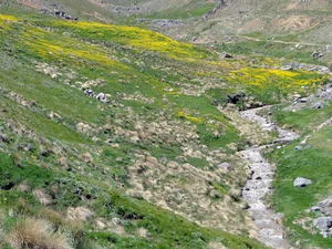 آبشار پونه