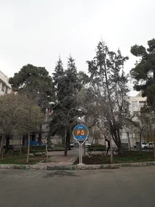 میدان ۶۵