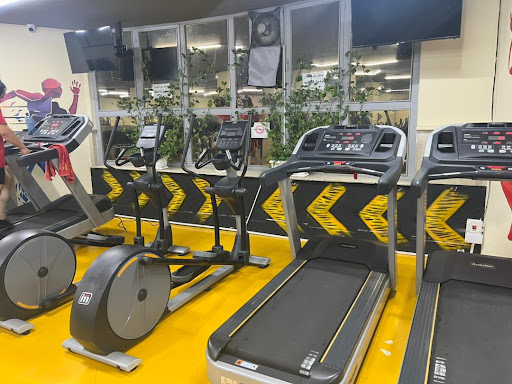مجموعه ورزشی حسن پناهی