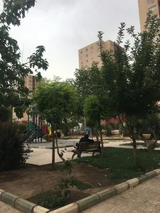 پارک وسط