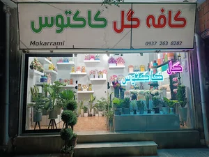 گل کاکتوس