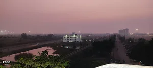 هالدیا