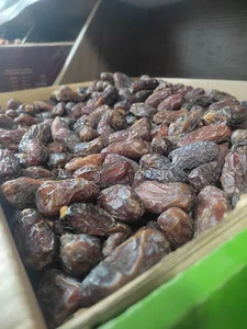 خرما سرای بوعلی