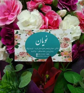 گالری نویان