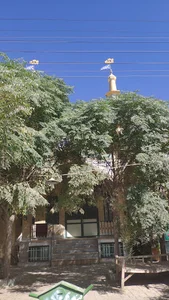مسجد