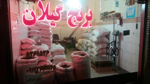 برنج گیلان_خشکبار
