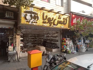 کفش پویا