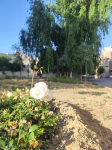 بوستان شمس 3