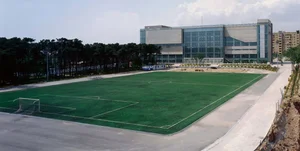 Asa