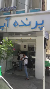 پرنده آبی 4