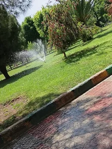 پارک شقایق 2