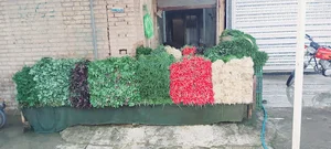 نمایندگی همراه اول دزفول