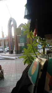 حجاب فاخر حسینی 4