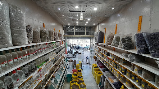 عطاری بوعلی