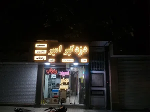 دزدگیر امیر