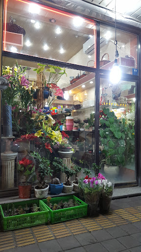 گل‌فروشی فدک