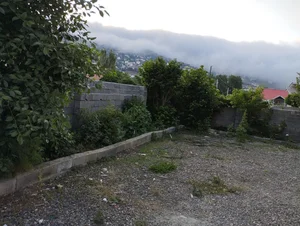 بازارجه شهرداری