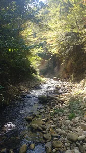 تاریک دره