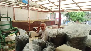 کارگاه چای سنتی و ارگانیک رسول