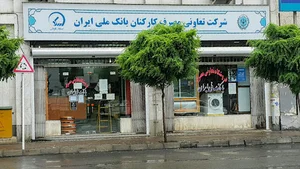 شرکت تعاونی مصرف کارکنان بانک ملی ایران