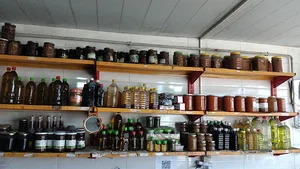 زیتون سرای سبحان