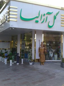 Azalia Flower Market
