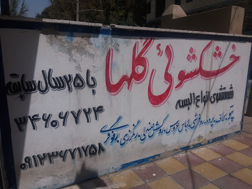 خشکشویی گلها