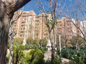بوستان کودک 5