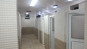 سرویس بهداشتی عمومی