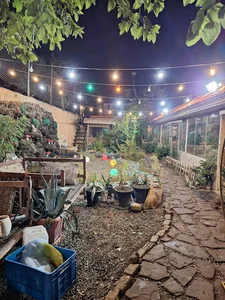 کافه آبشار