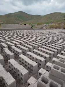 کوتر