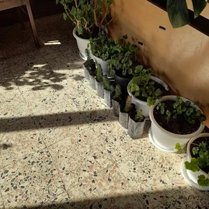 اداره منابع طبیعی و آبخیزداری خلخال