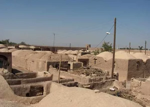 بیمه دانا حسینی