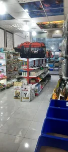 پتشاپ طوطی گیلان 3