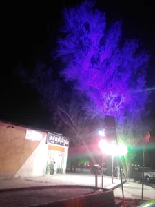 مجتمع نان و کلوچه قدس