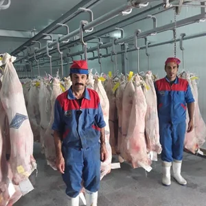 فروشگاه مرغ طالع پروتئین