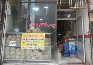 میوه و خشکبار باغبان