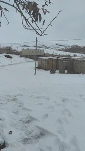 mr_ghahve_sanandaj instaمستر قهوه