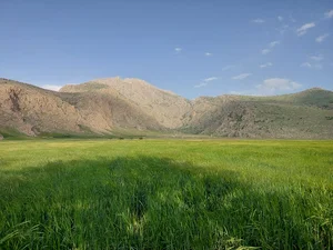 تنگه محمود آباد