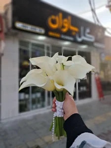 گل باوان