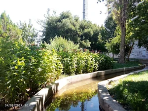 بوستان فاطمی