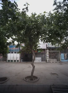 تعمیرگاه امین